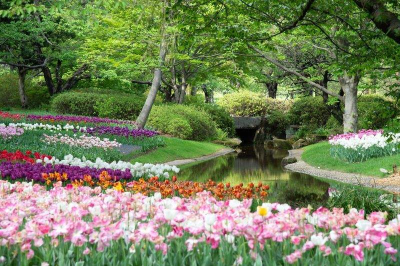 Frühjahrsfit im Garten: So starten Beete und Rasen gut in die Saison