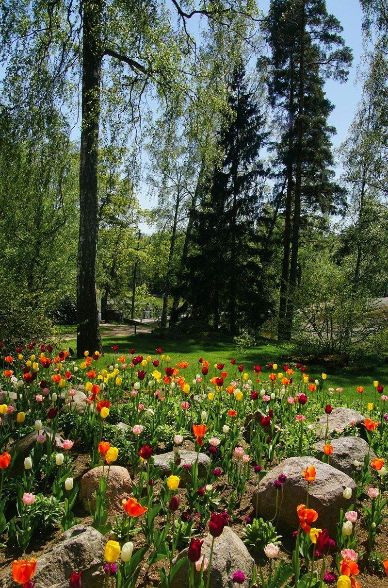 GrünWerk Gartenservice GmbH 5