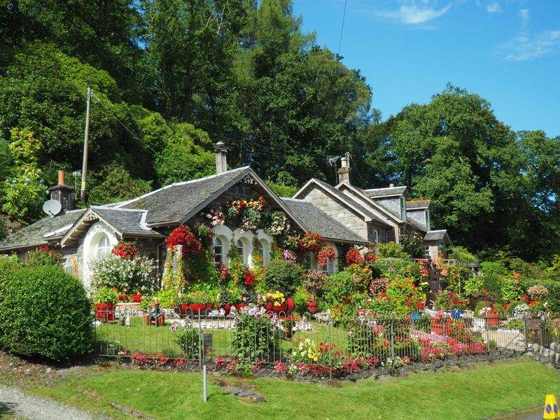 GrünWerk Gartenservice GmbH 6