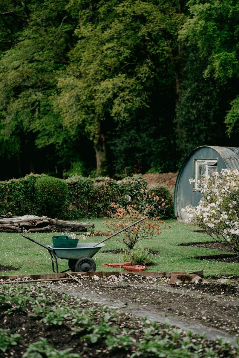 GrünWerk Gartenservice GmbH
